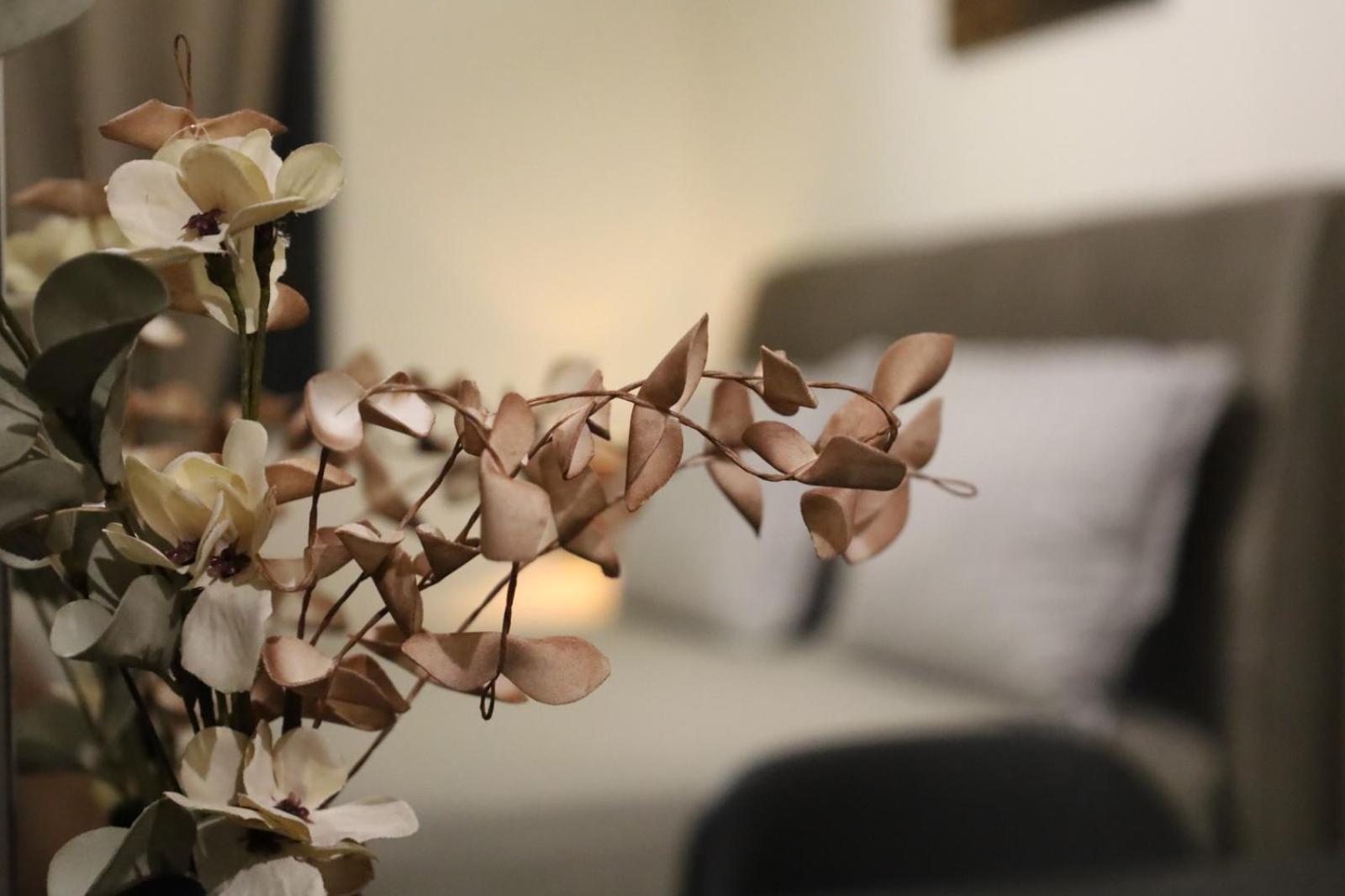 Xanthi Bnb3 外观 照片